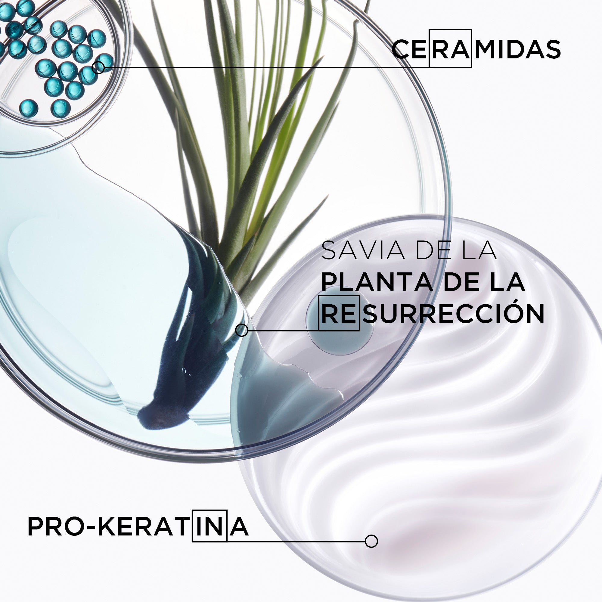 Mascarilla Kérastase Résistance Force Architecte repación cabello dañado 200ml